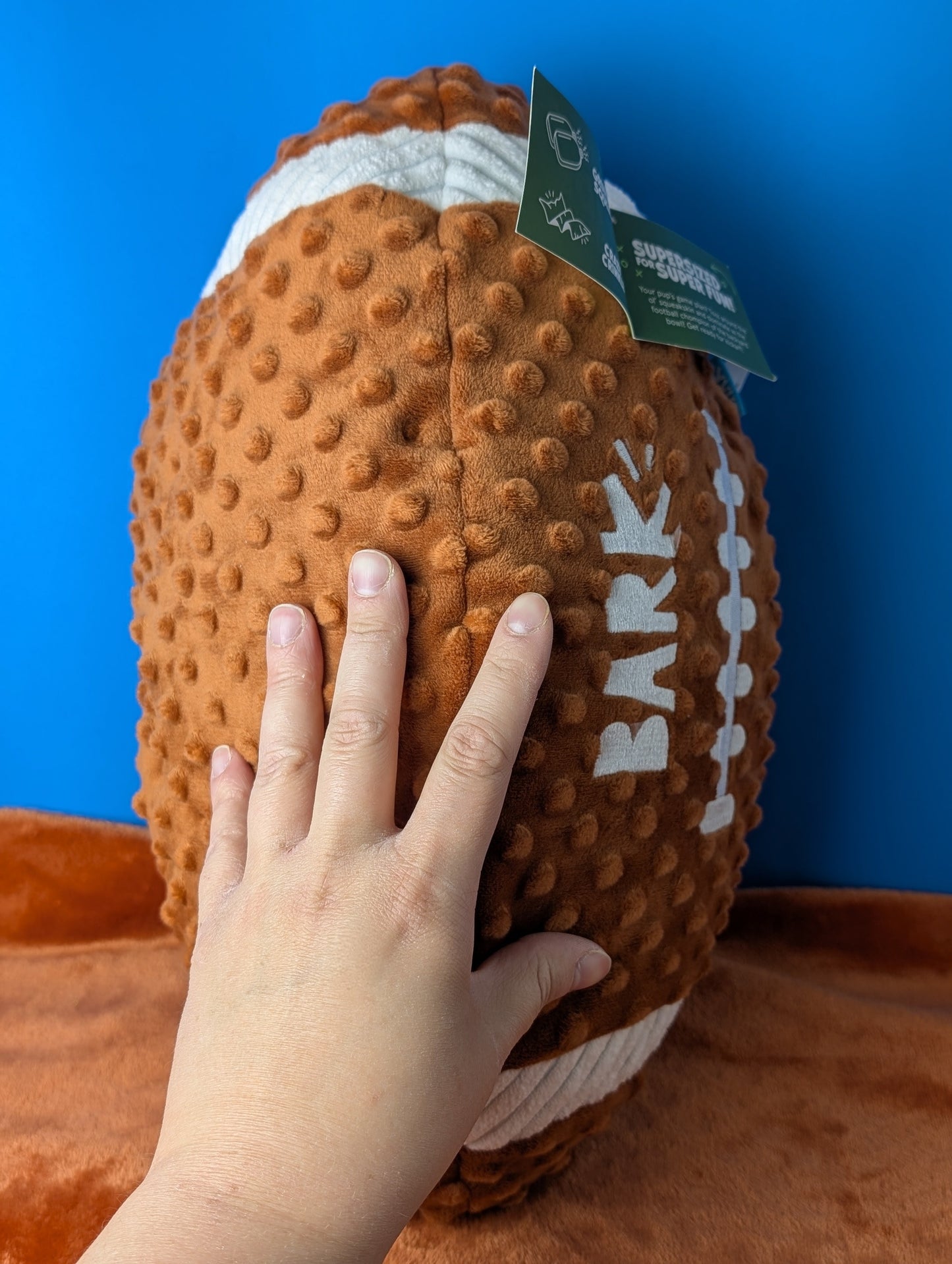 BarkBox Wide Retriever