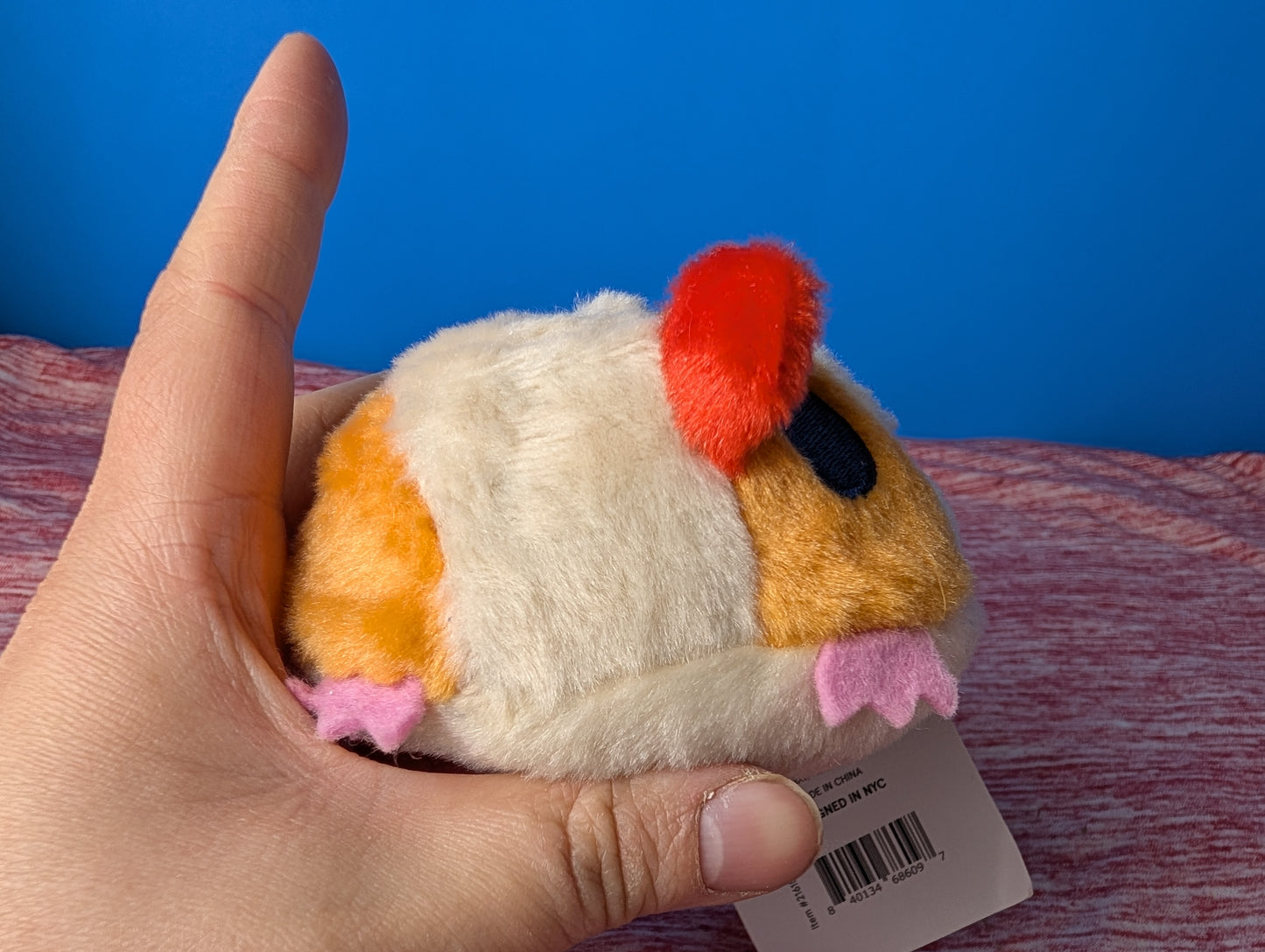 Barkbox Guillermo guinea pig