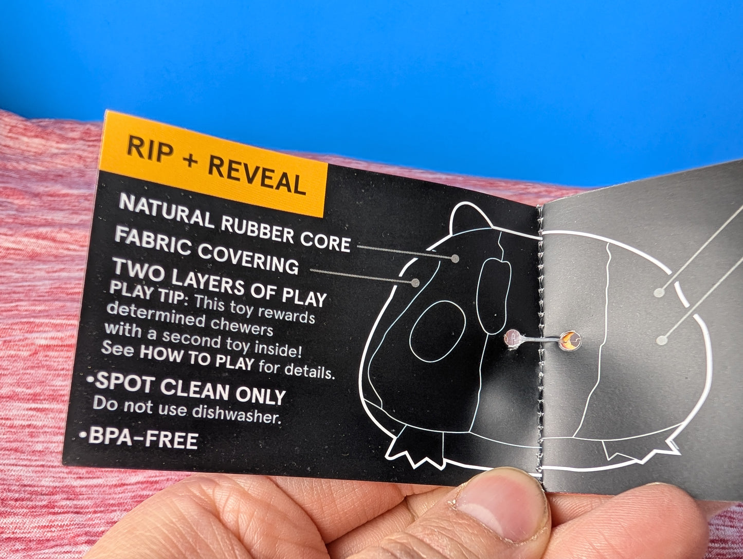 Barkbox Guillermo guinea pig