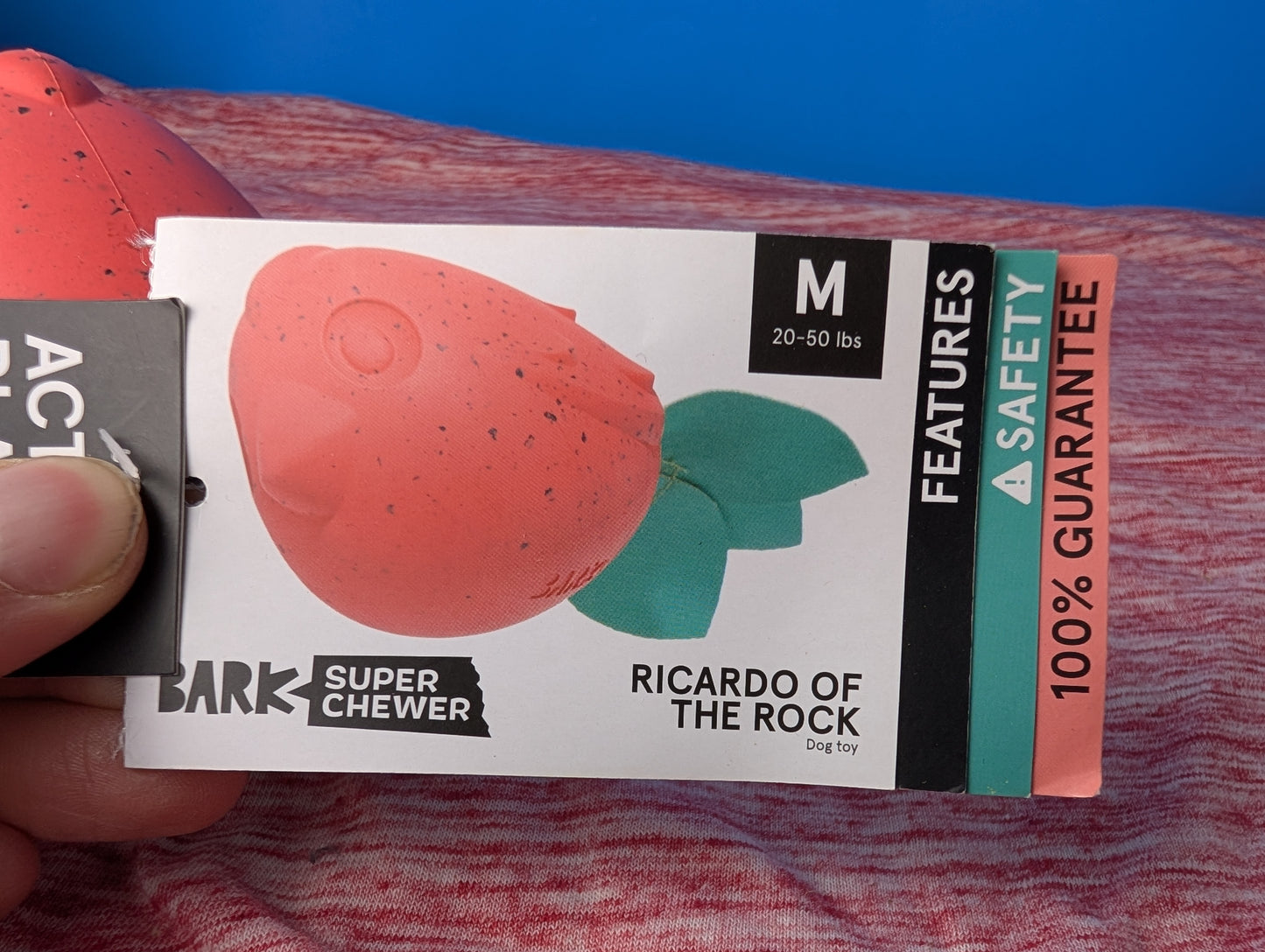 Barkbox Ricardo of The Rock