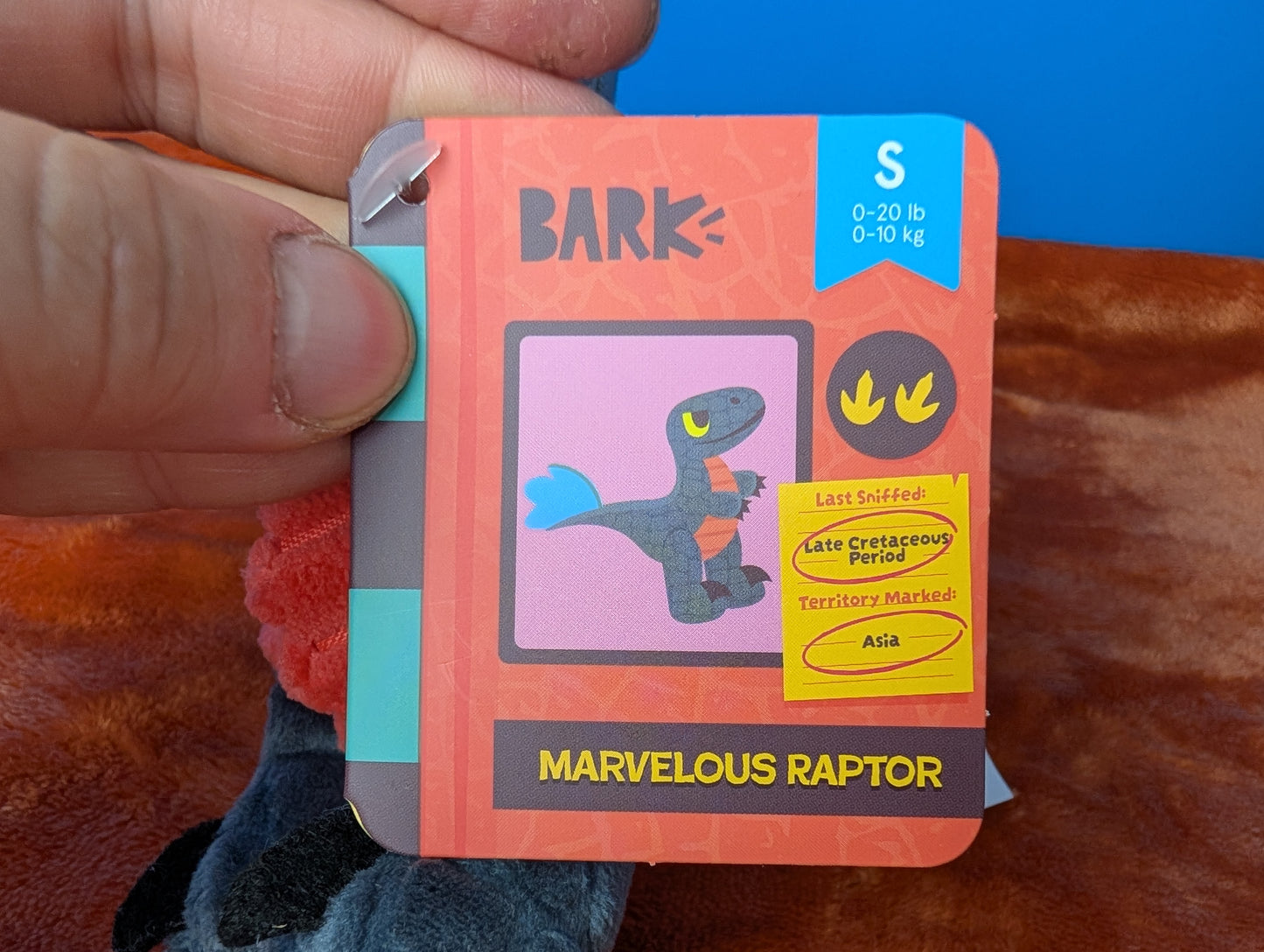 Barkbox Marvelous Raptor