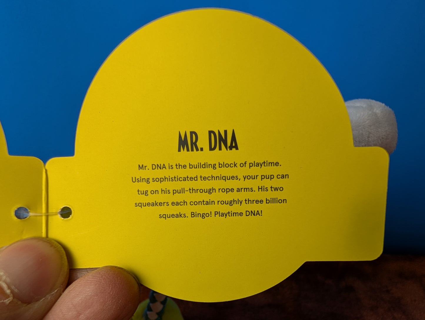 BarkBox Mr. DNA