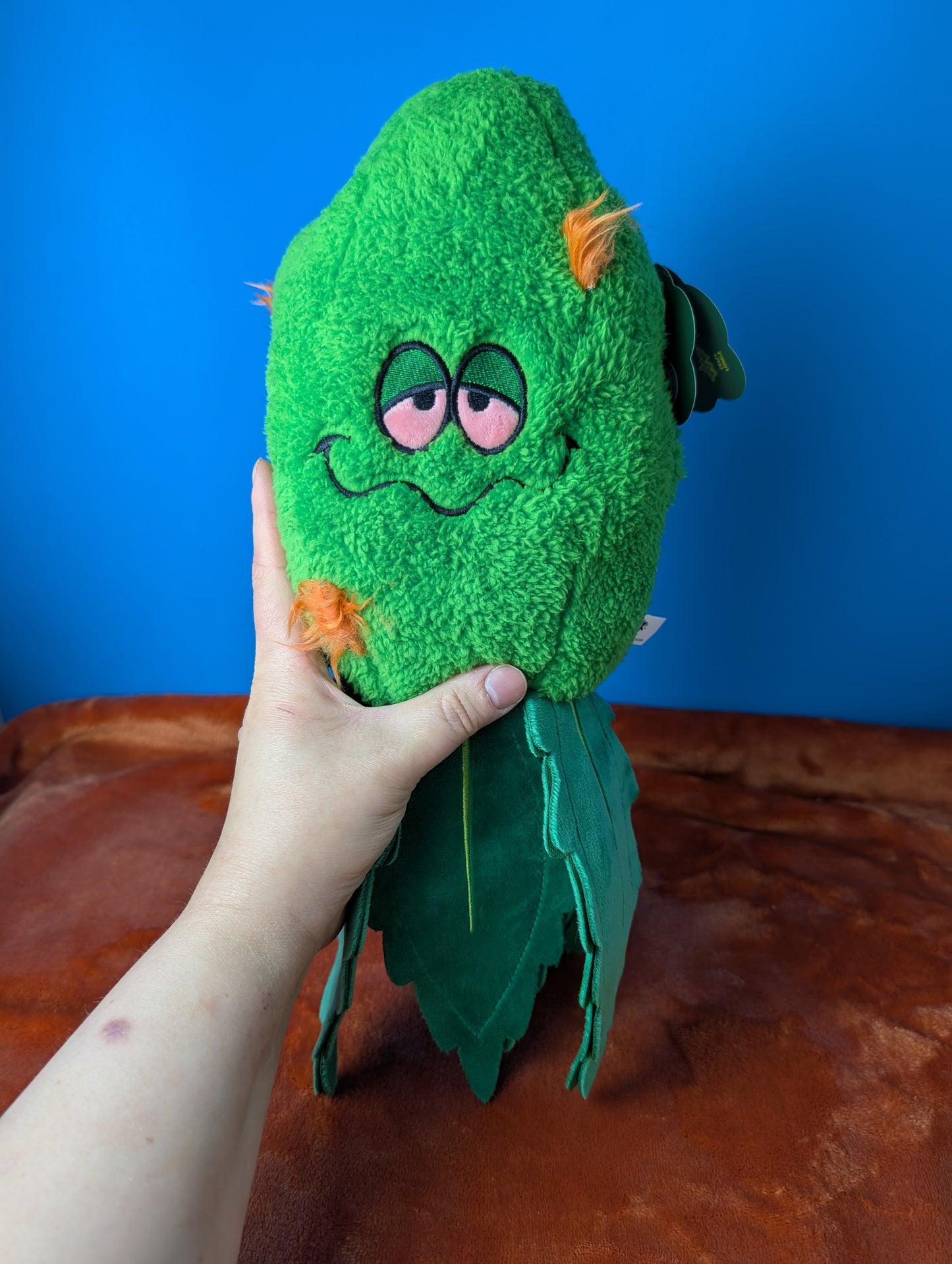 BarkBox Rip Von Dankle