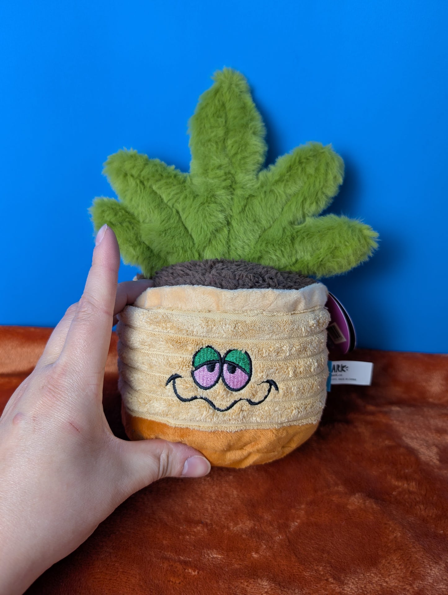 BarkBox Easy Grows It