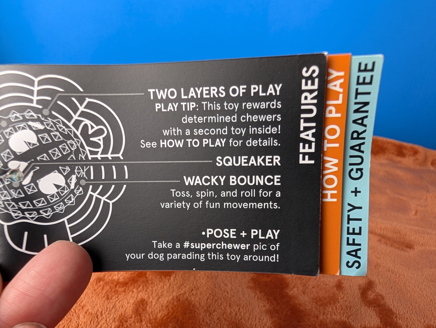 Barkbox Turkey Tug Parade