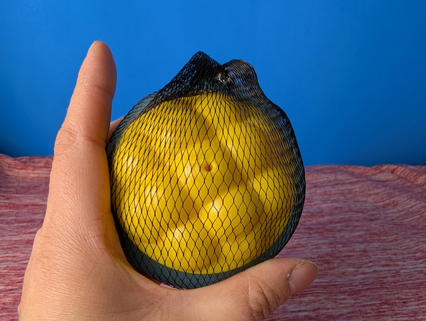 BarkBox Mac & Squeaks