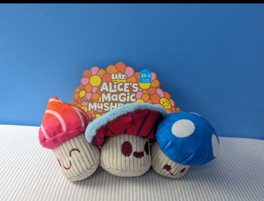 BarkBox Alice's Magic Mushrooms