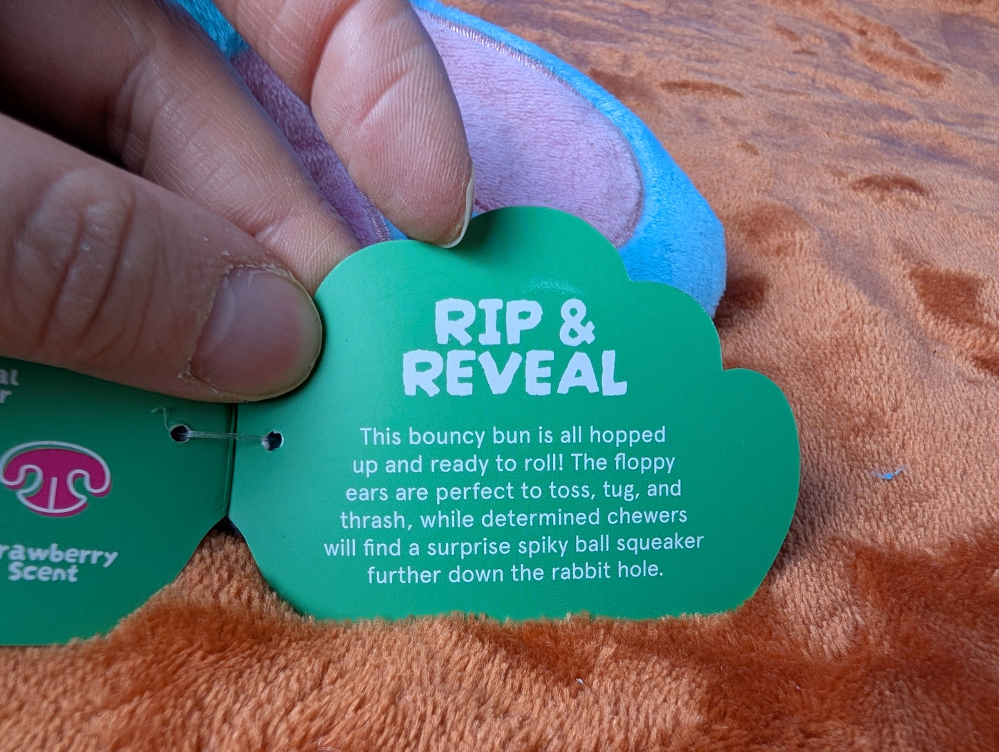 Barkbox Benny the Bunny