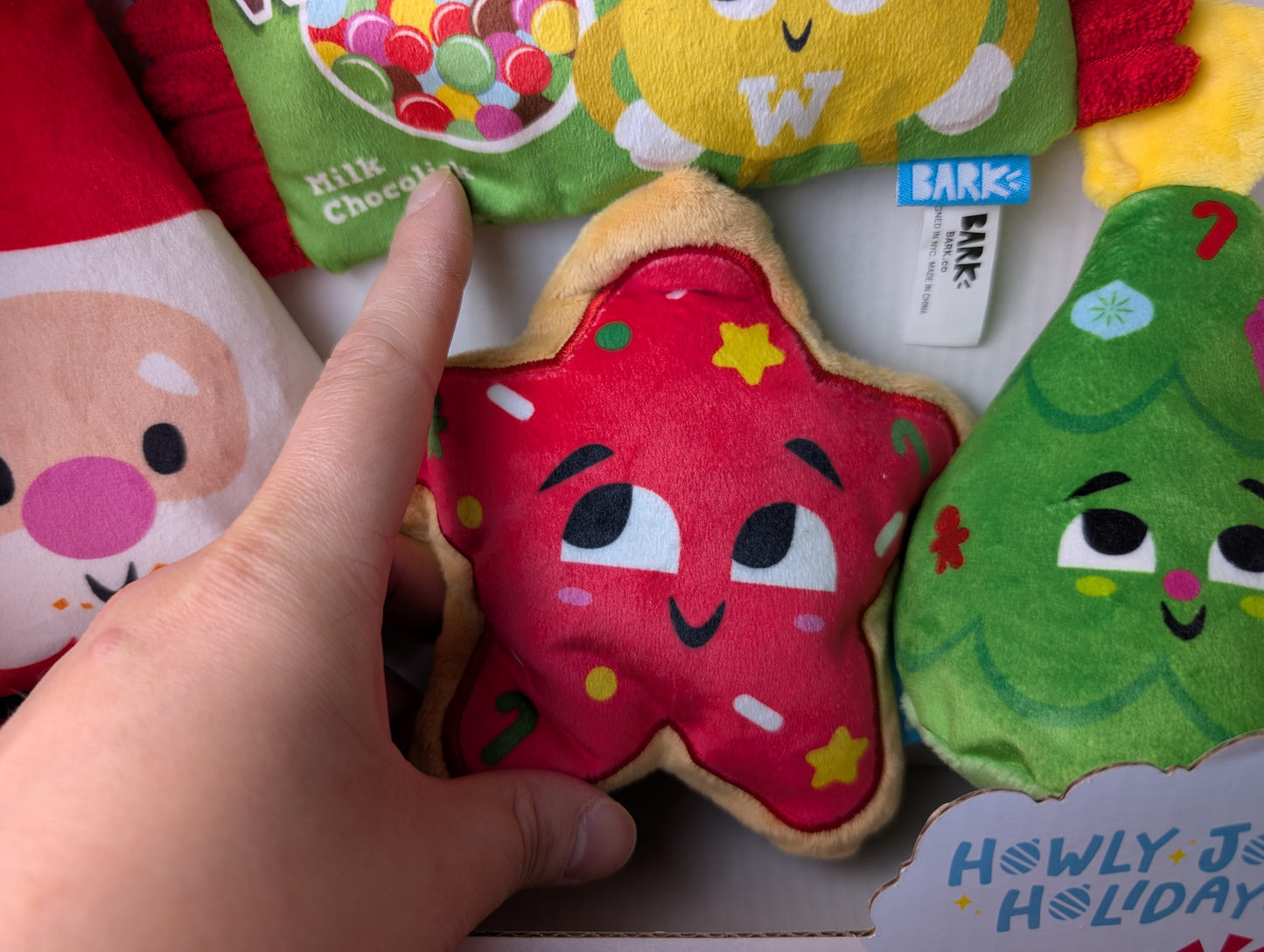 BarkBox Howly Jowly Holidays Stocking Stuffer Box