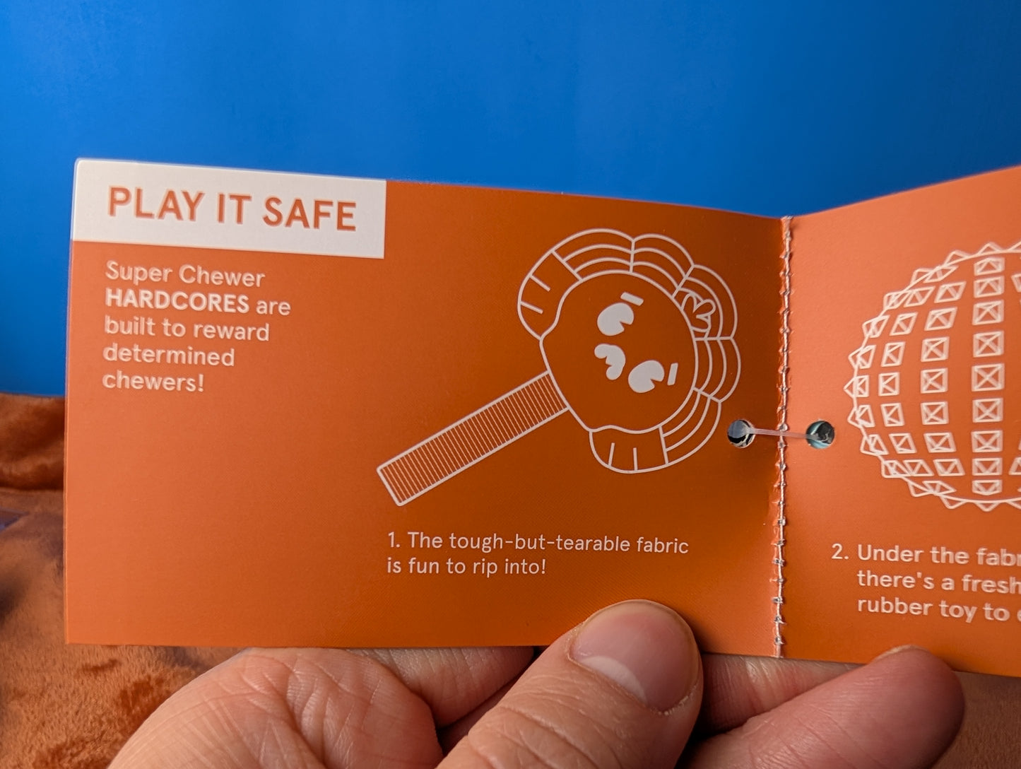 Barkbox Turkey Tug Parade