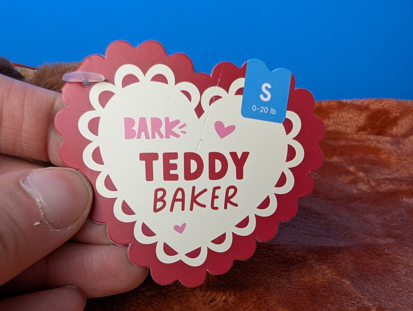 Barkbox Teddy Baker