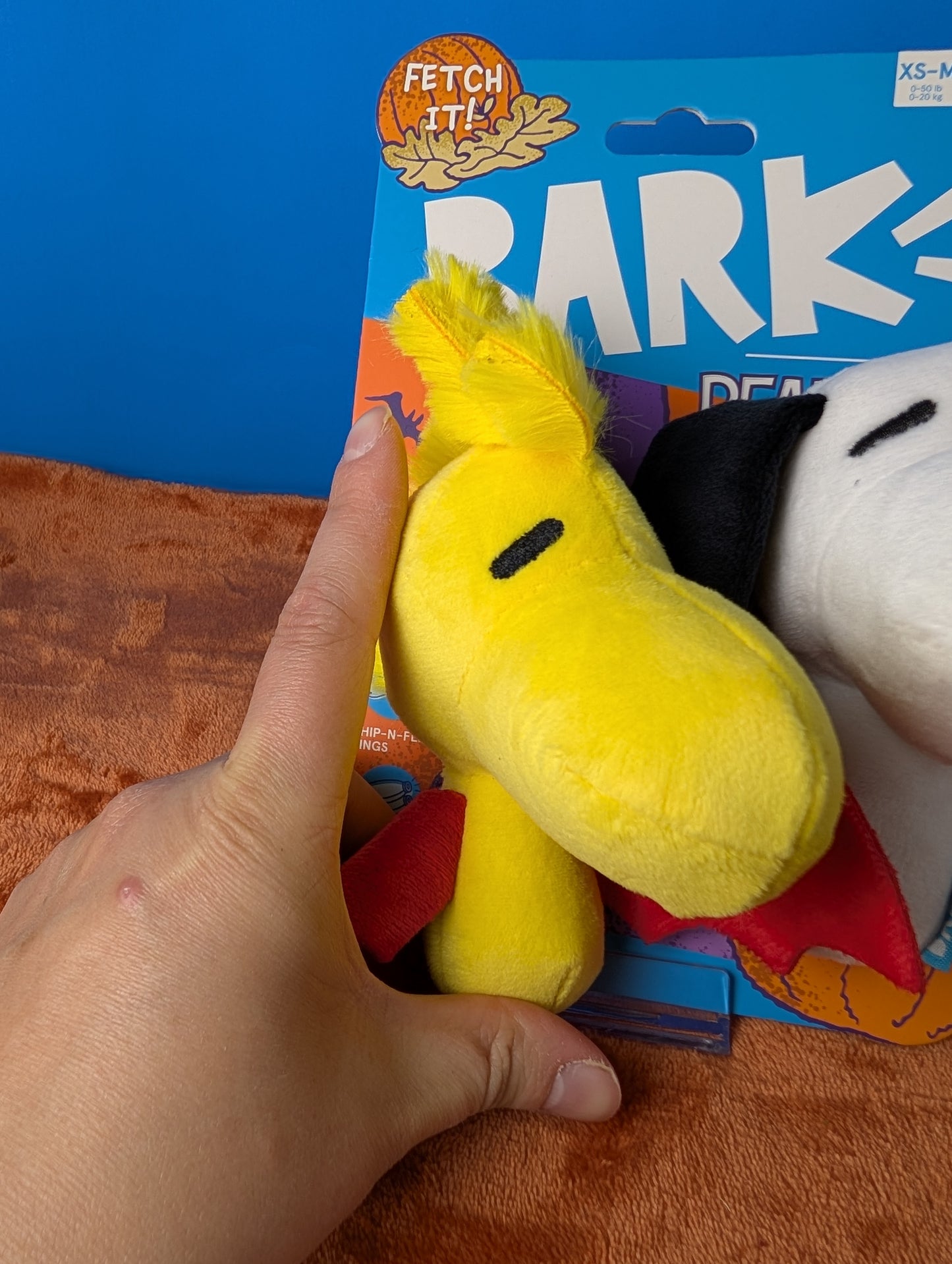 BarkBox Swoopies