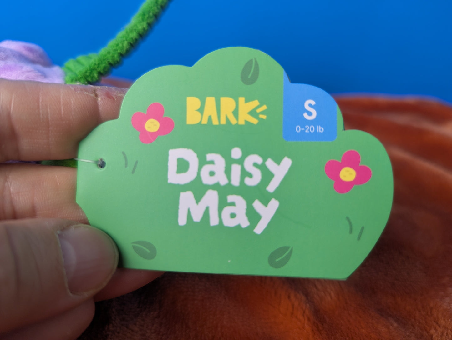 BarkBox Daisy May