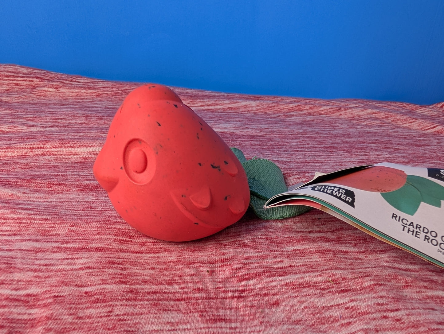 Barkbox Ricardo of The Rock