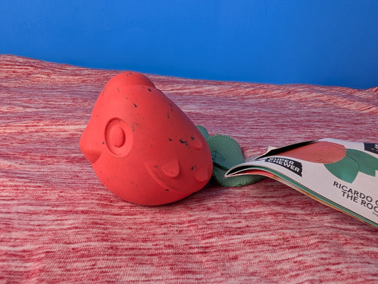 Barkbox Ricardo of The Rock