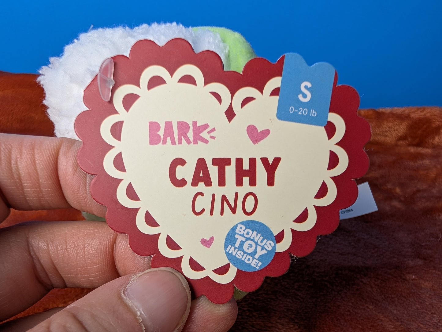 Barkbox Cathy Cino