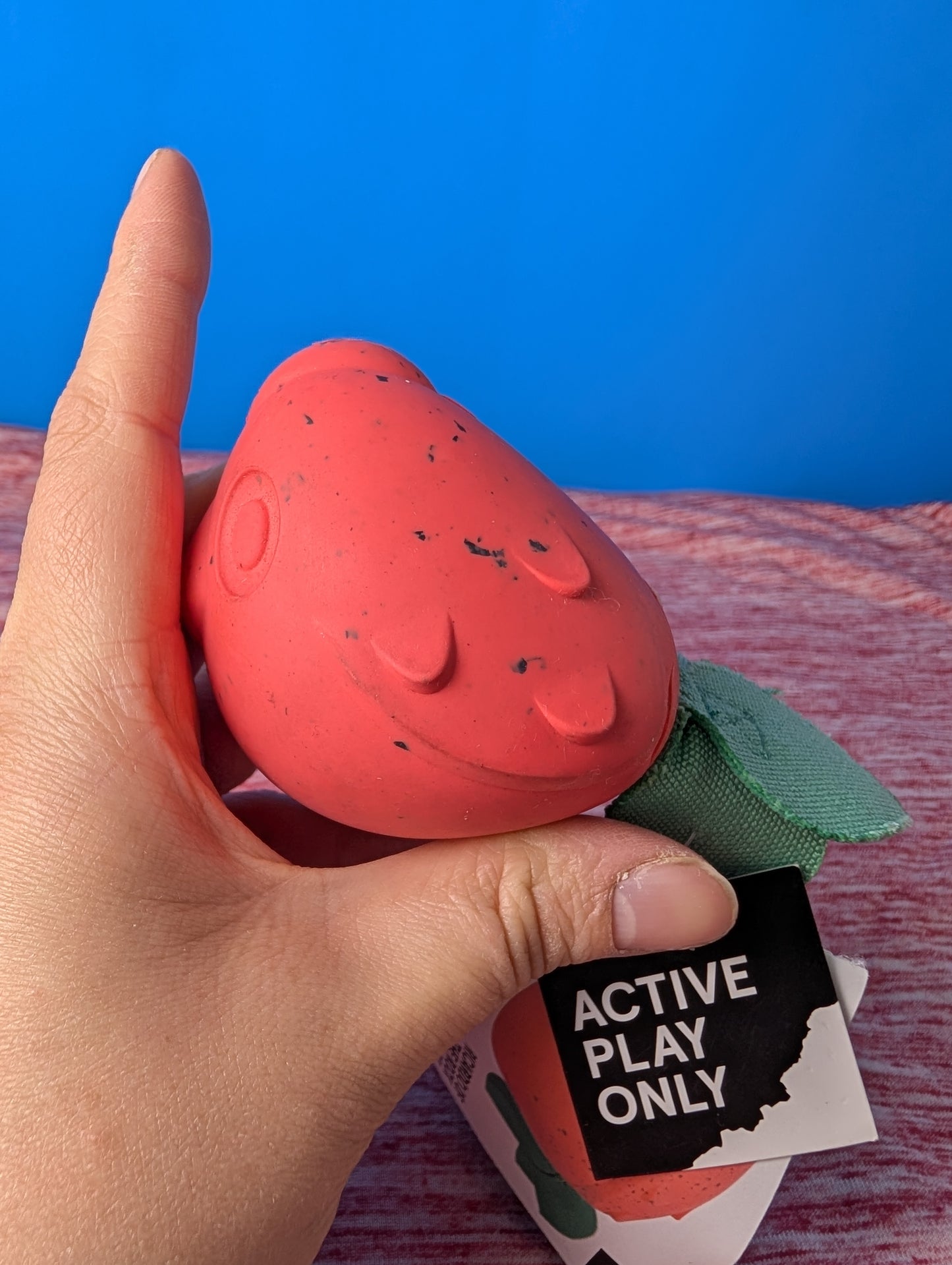 Barkbox Ricardo of The Rock