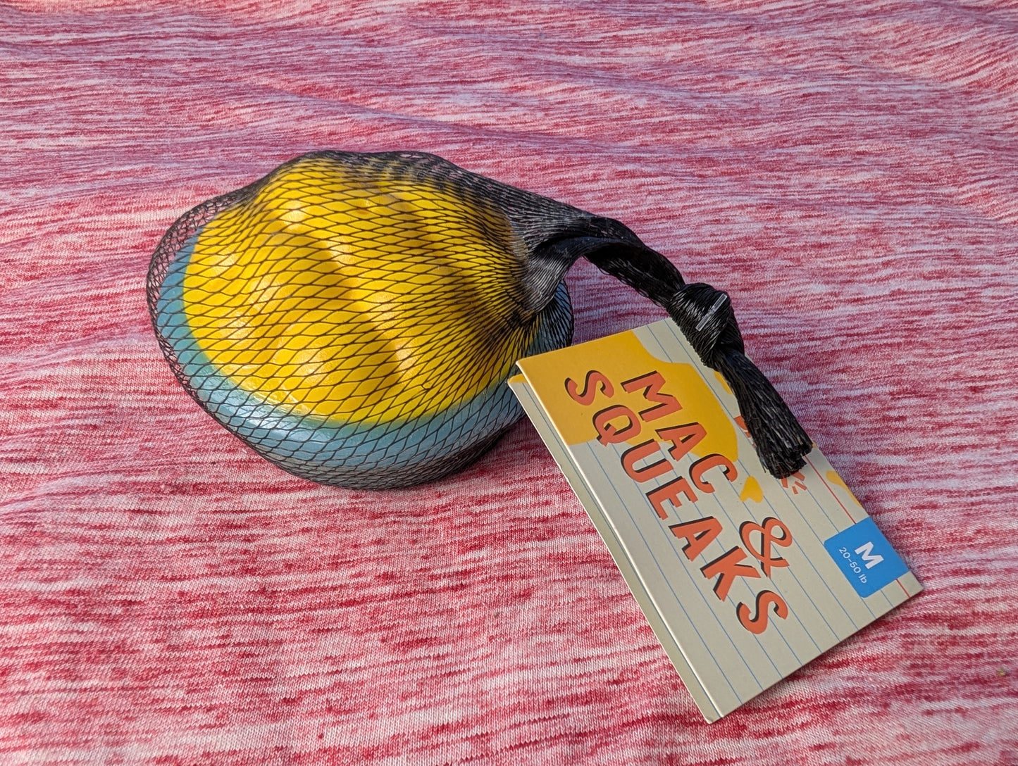 BarkBox Mac & Squeaks