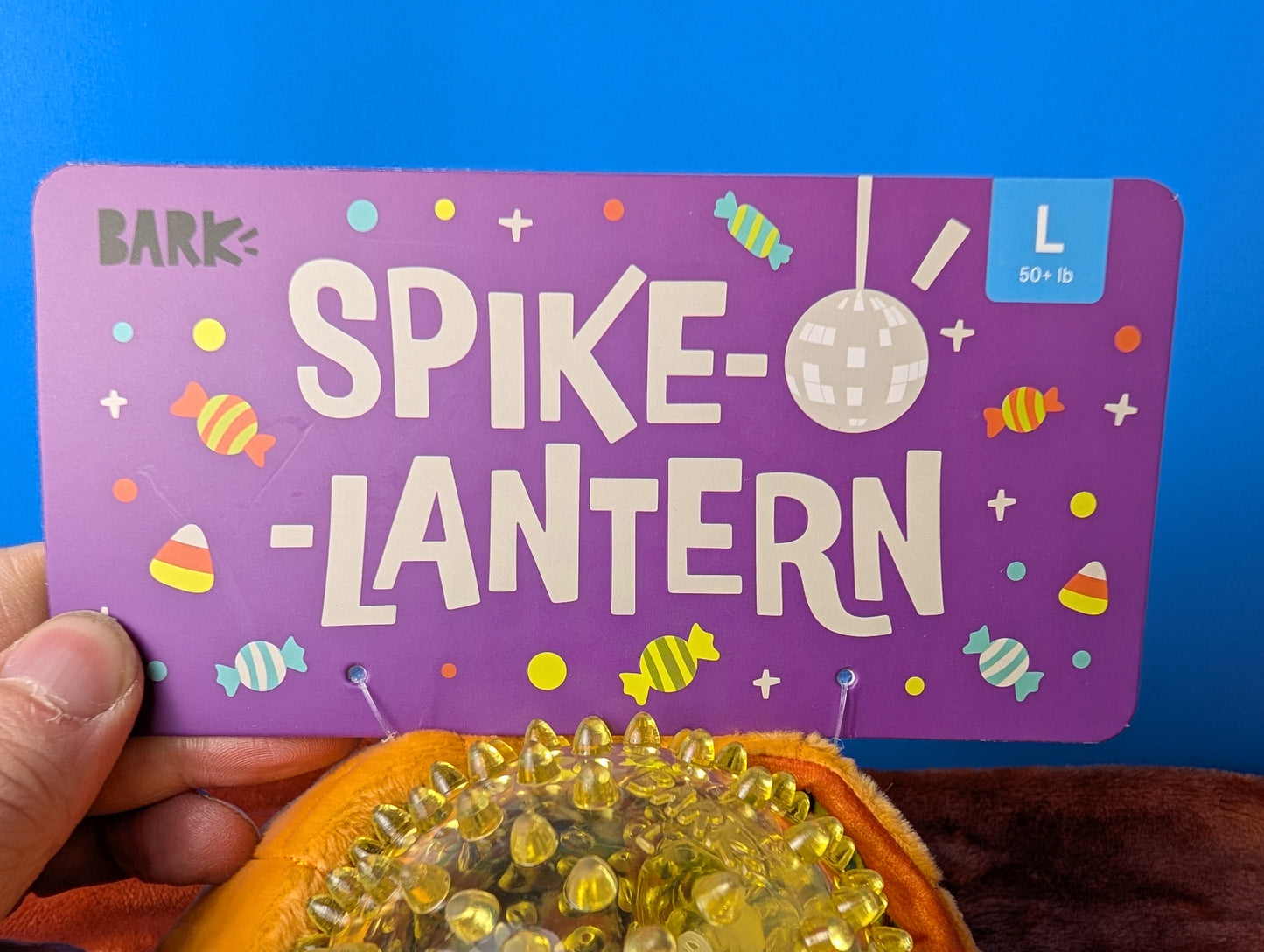 BarkBox Spike-O-Lantern