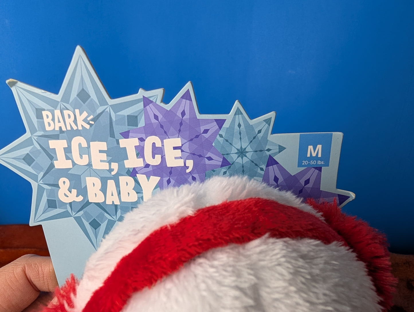 BarkBox Ice, Ice and Baby