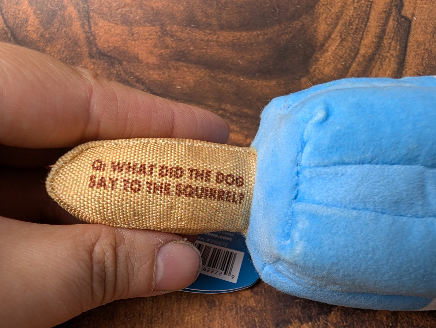 BarkBox Knock Knock Rocket Pup