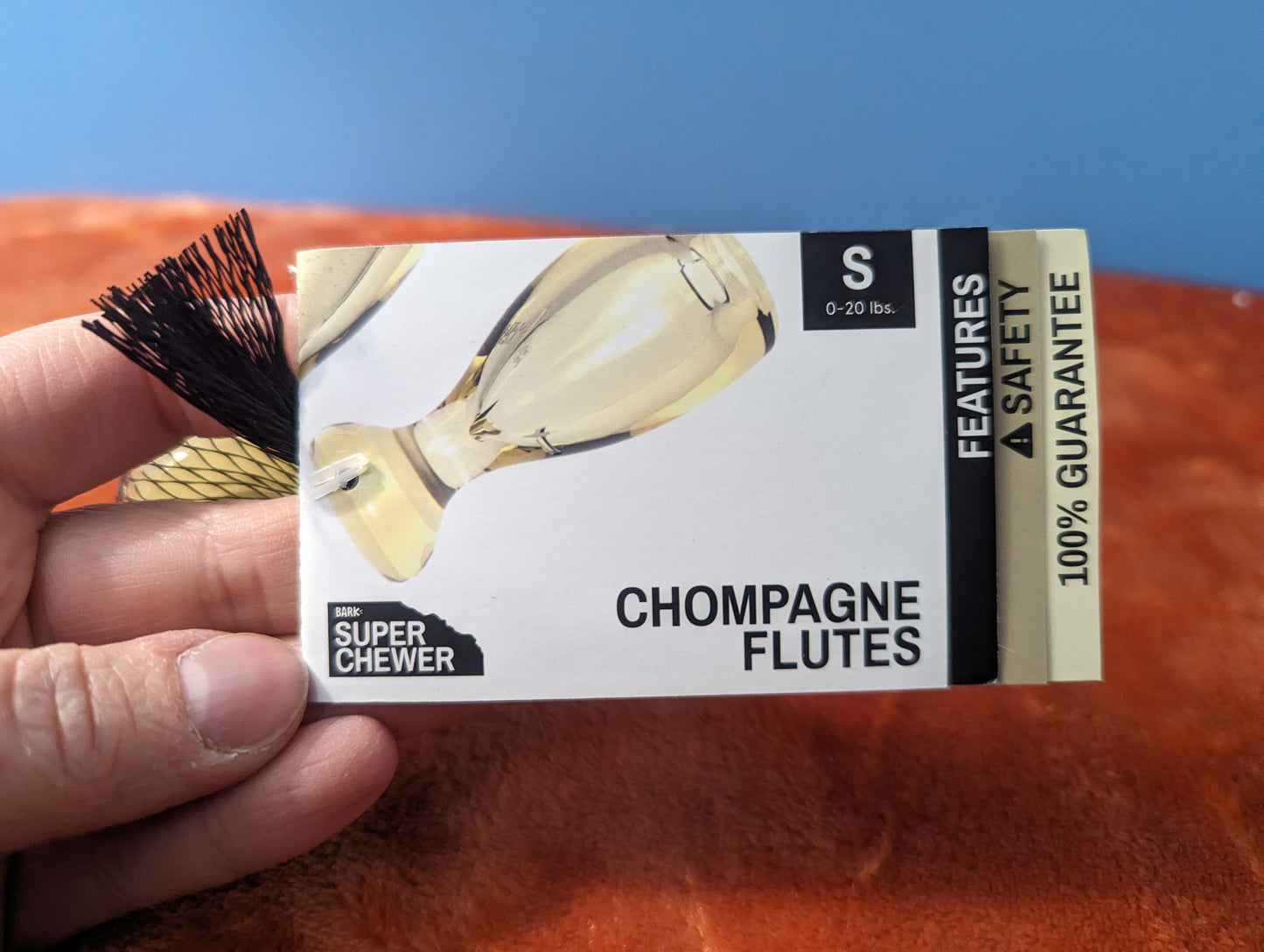 BarkBox Chompagne Flutes