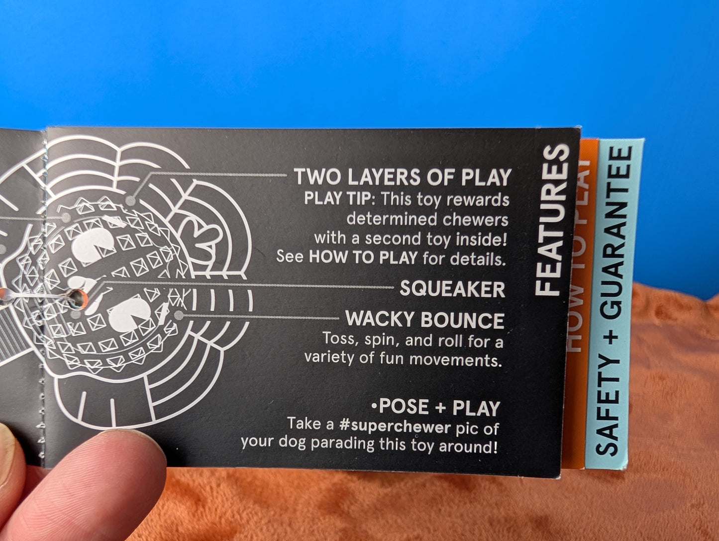 Barkbox Turkey Tug Parade