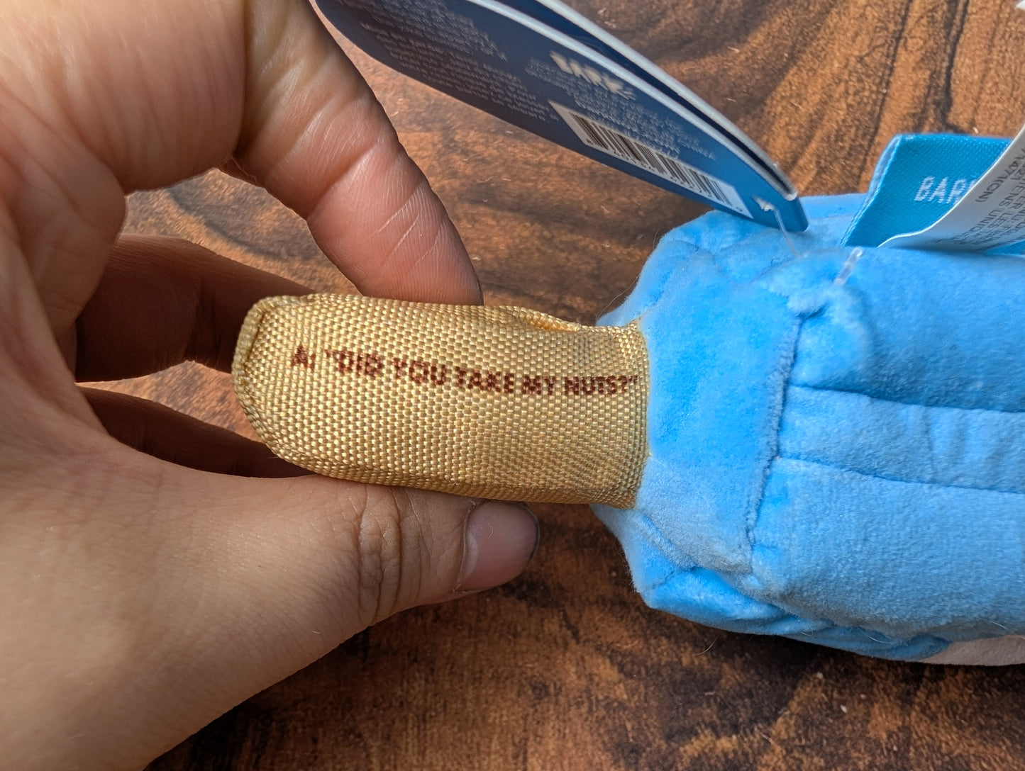 BarkBox Knock Knock Rocket Pup