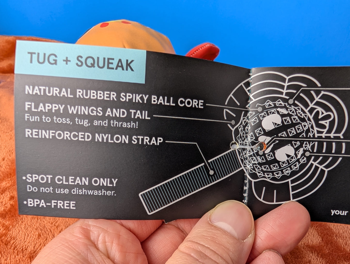 Barkbox Turkey Tug Parade