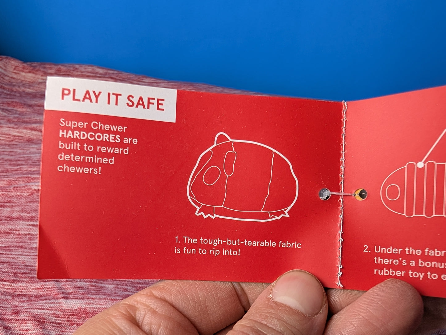 Barkbox Guillermo guinea pig