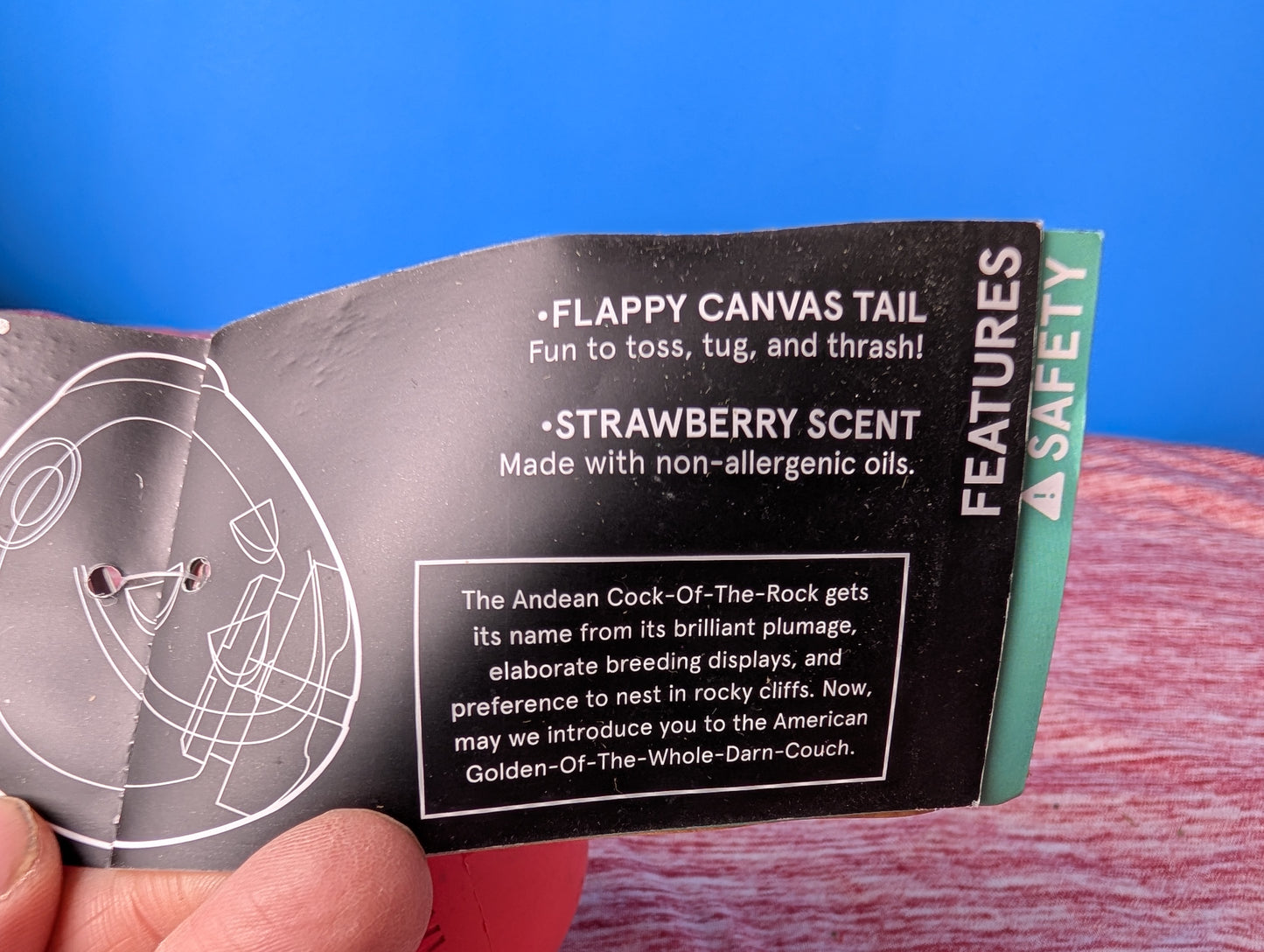 Barkbox Ricardo of The Rock