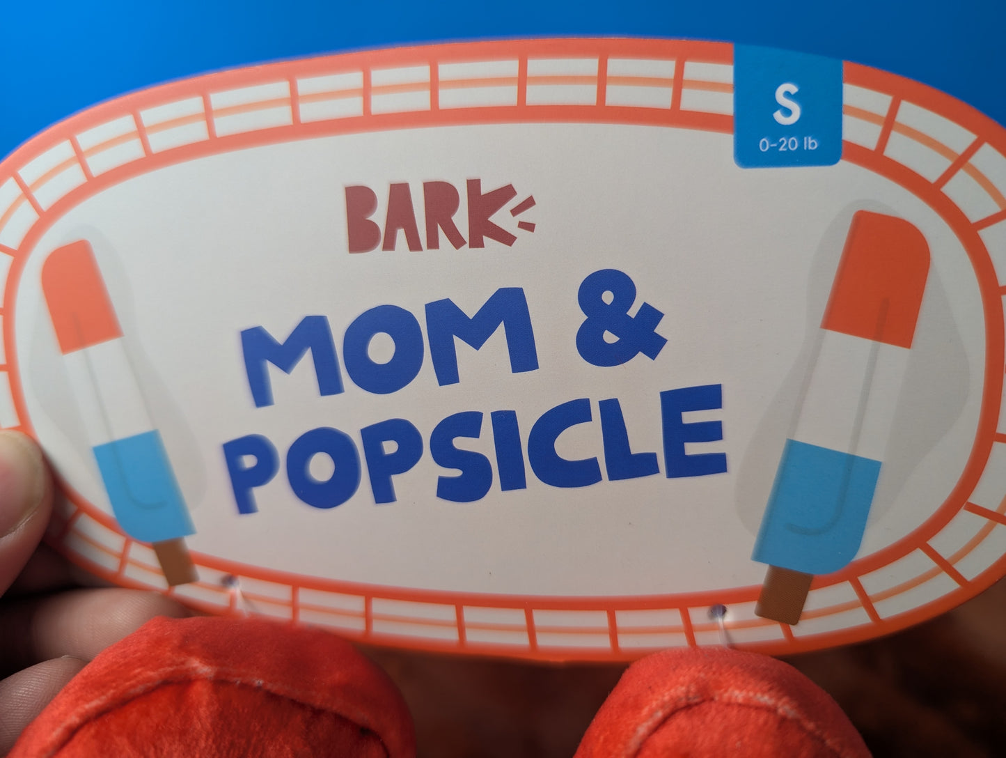 BarkBox Mom & Popsicle