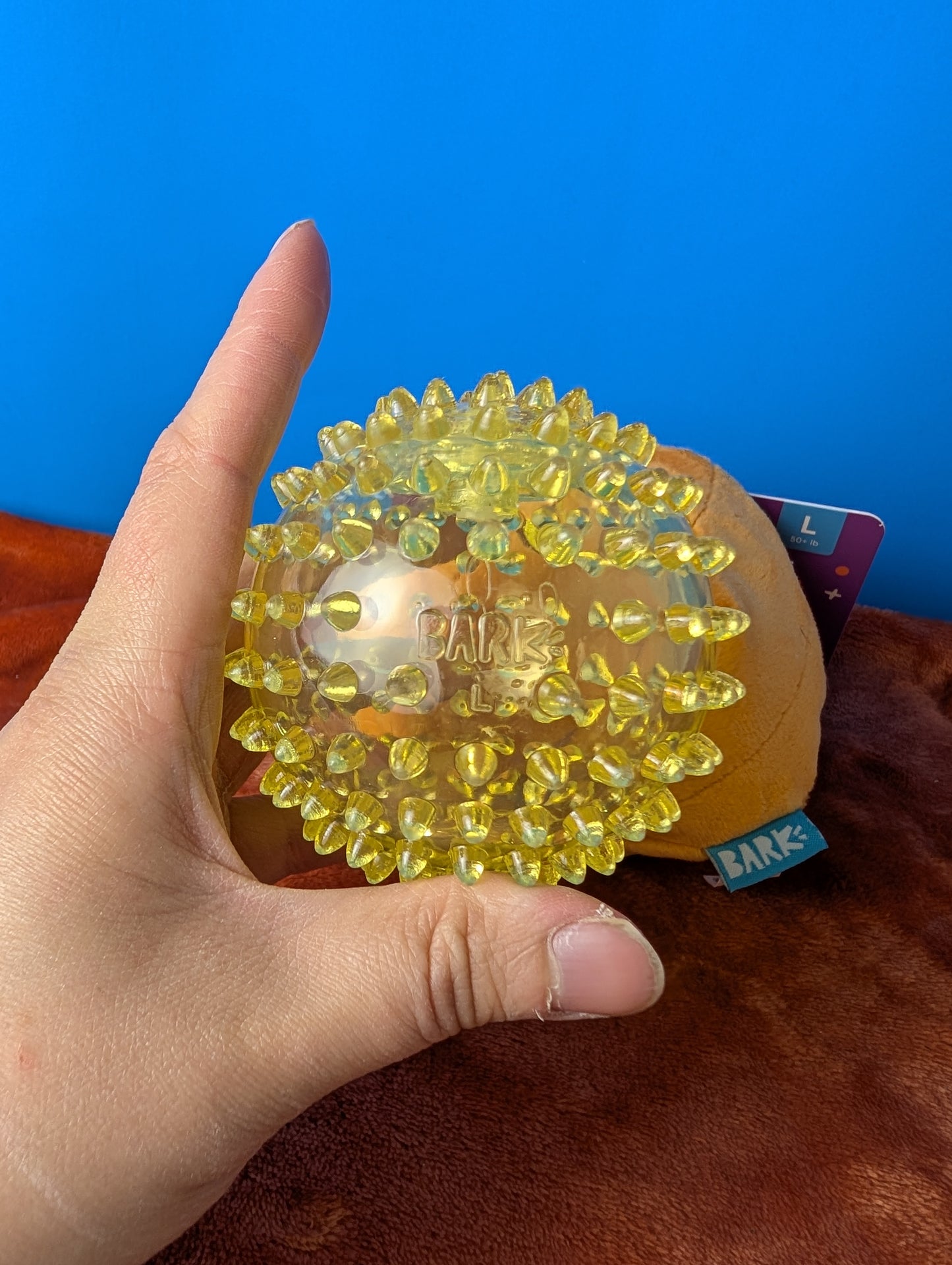 BarkBox Spike-O-Lantern