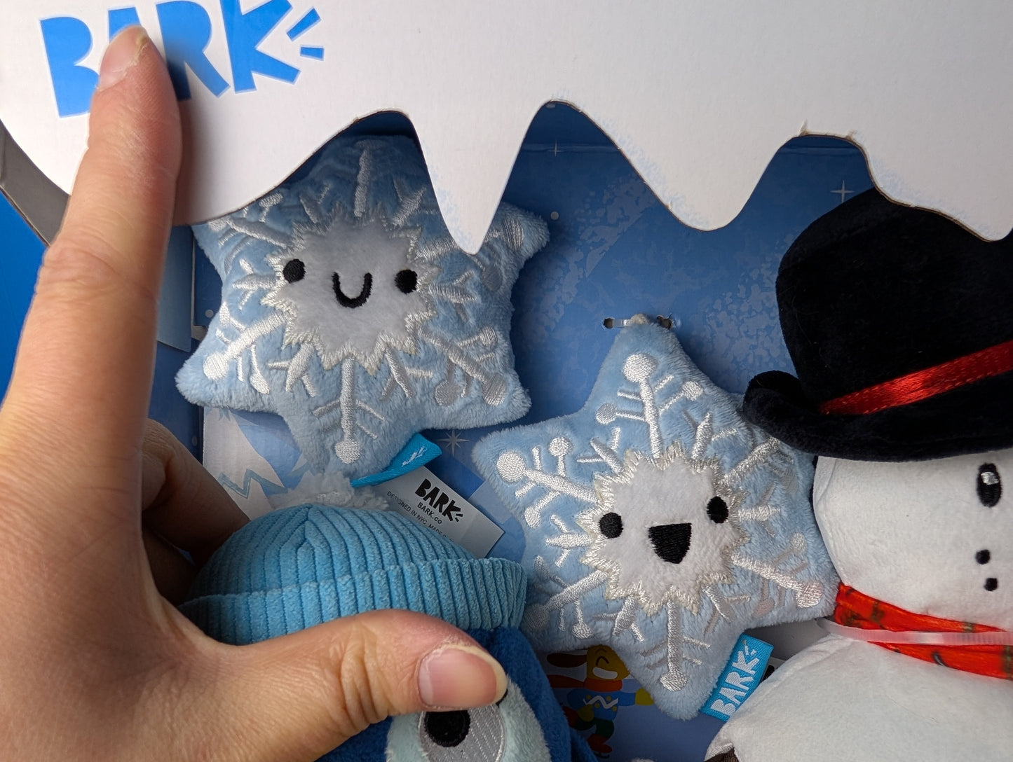 BarkBox Wagical Winter Wonderland