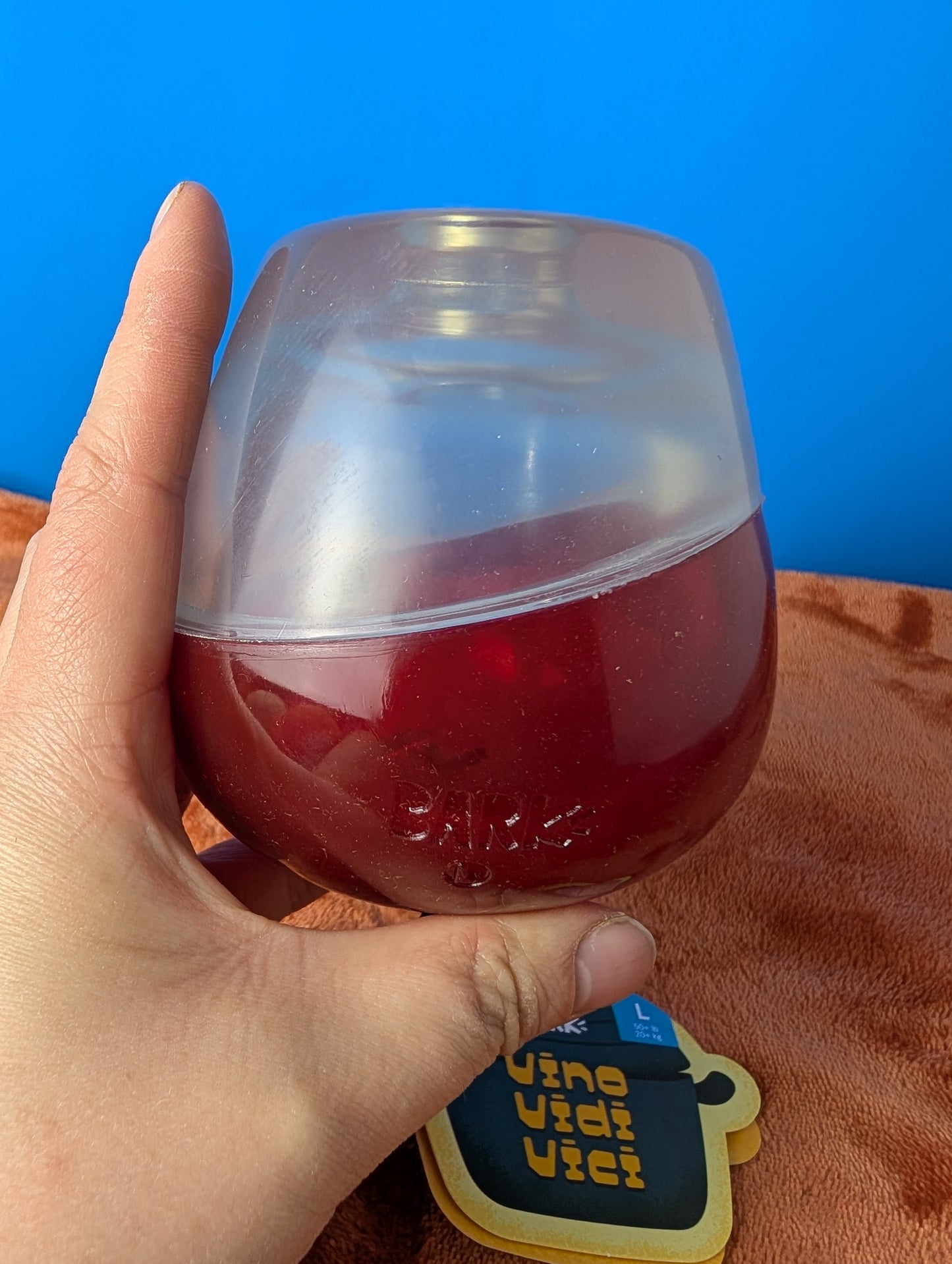 BarkBox Vino Vidi Vici