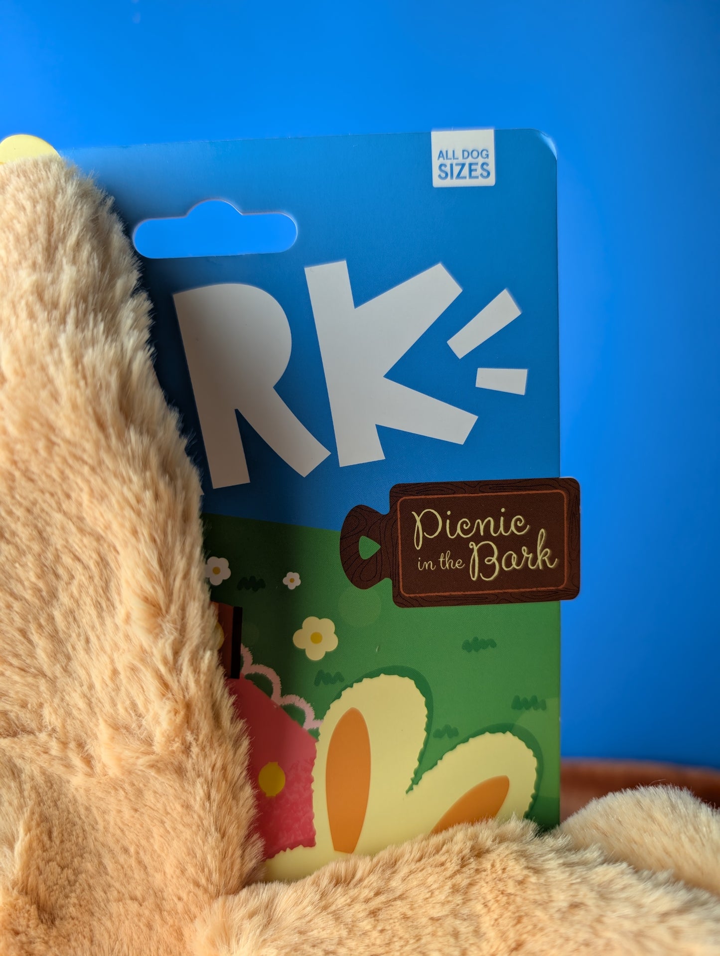 BarkBox Veggie Reggie