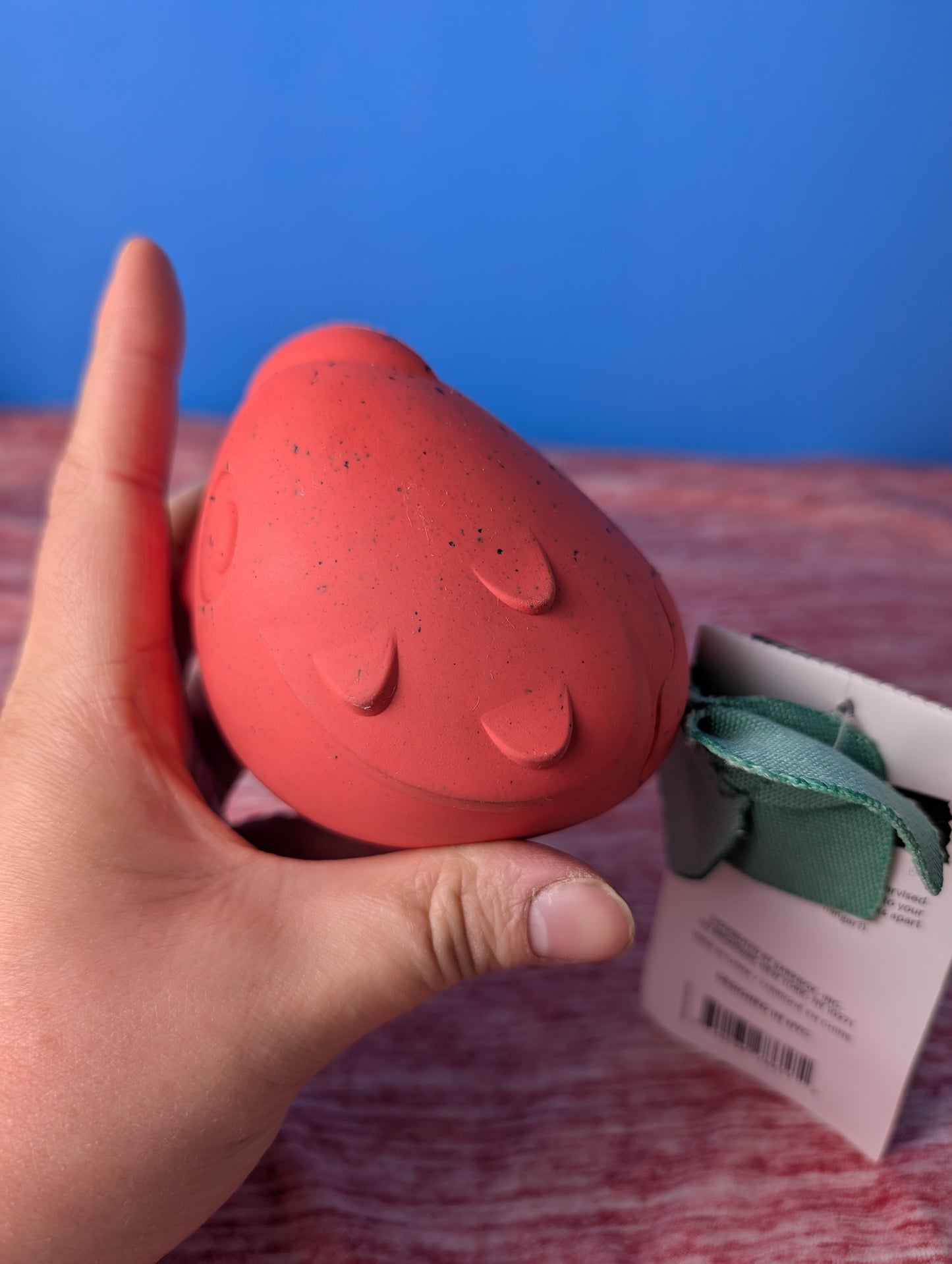 Barkbox Ricardo of The Rock