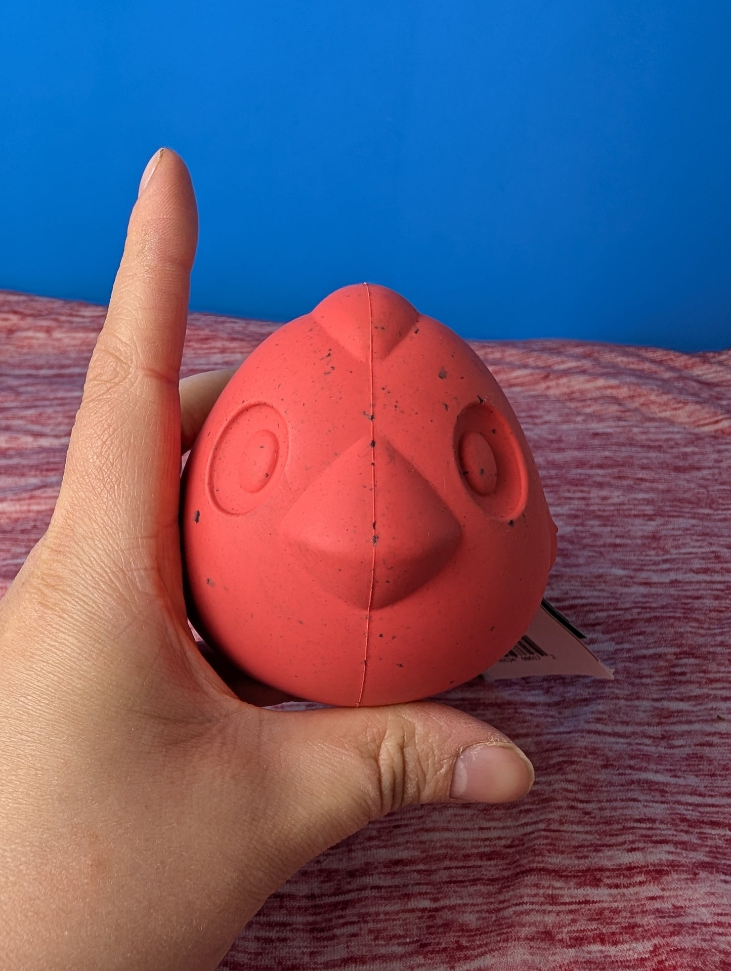 Barkbox Ricardo of The Rock