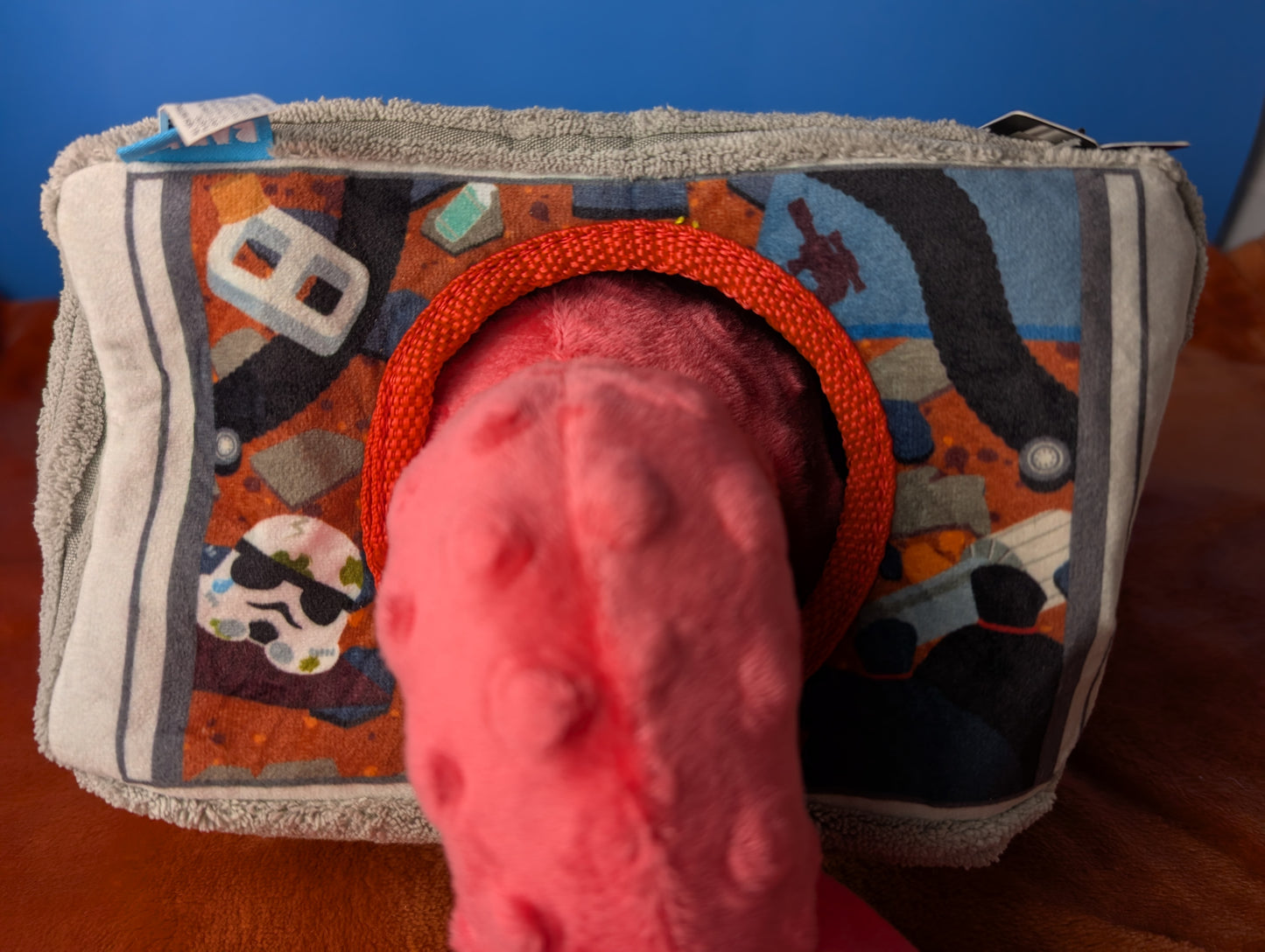 BarkBox Omi, Oh My!