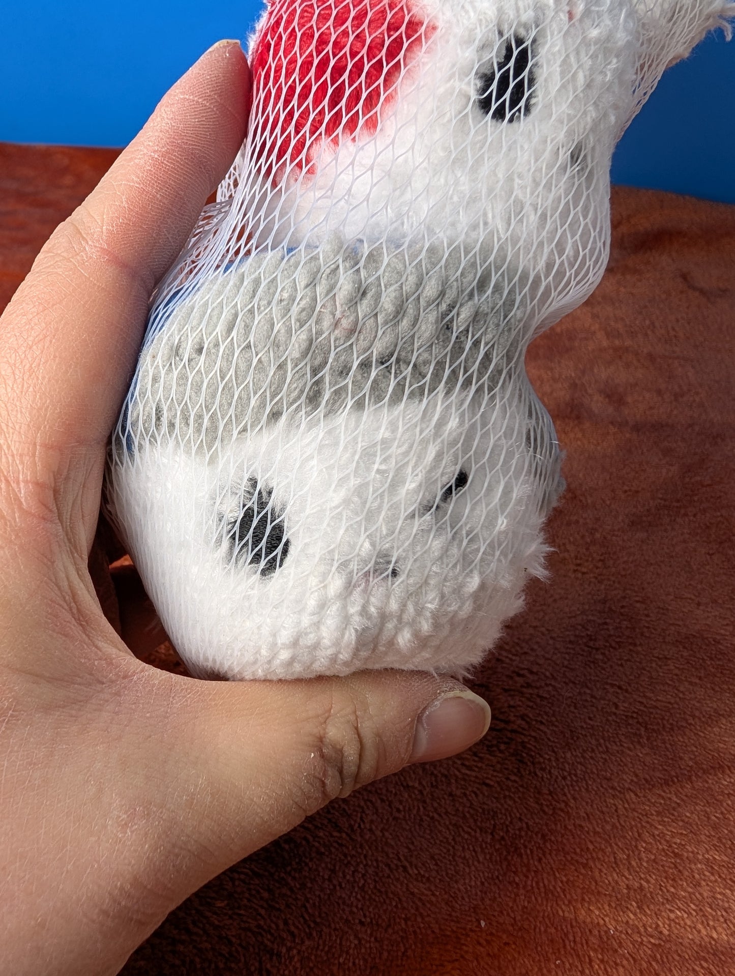 BarkBox Ice, Ice and Baby