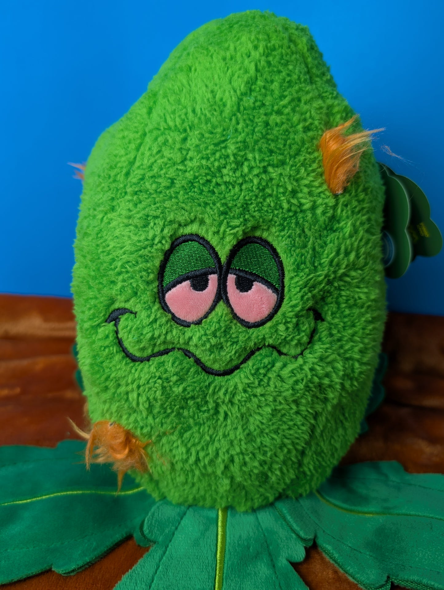 BarkBox Rip Von Dankle