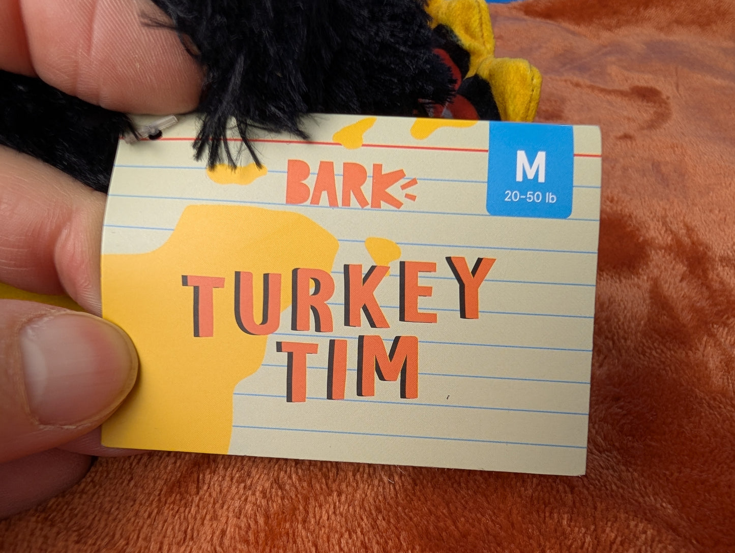 BarkBox Turkey Tim