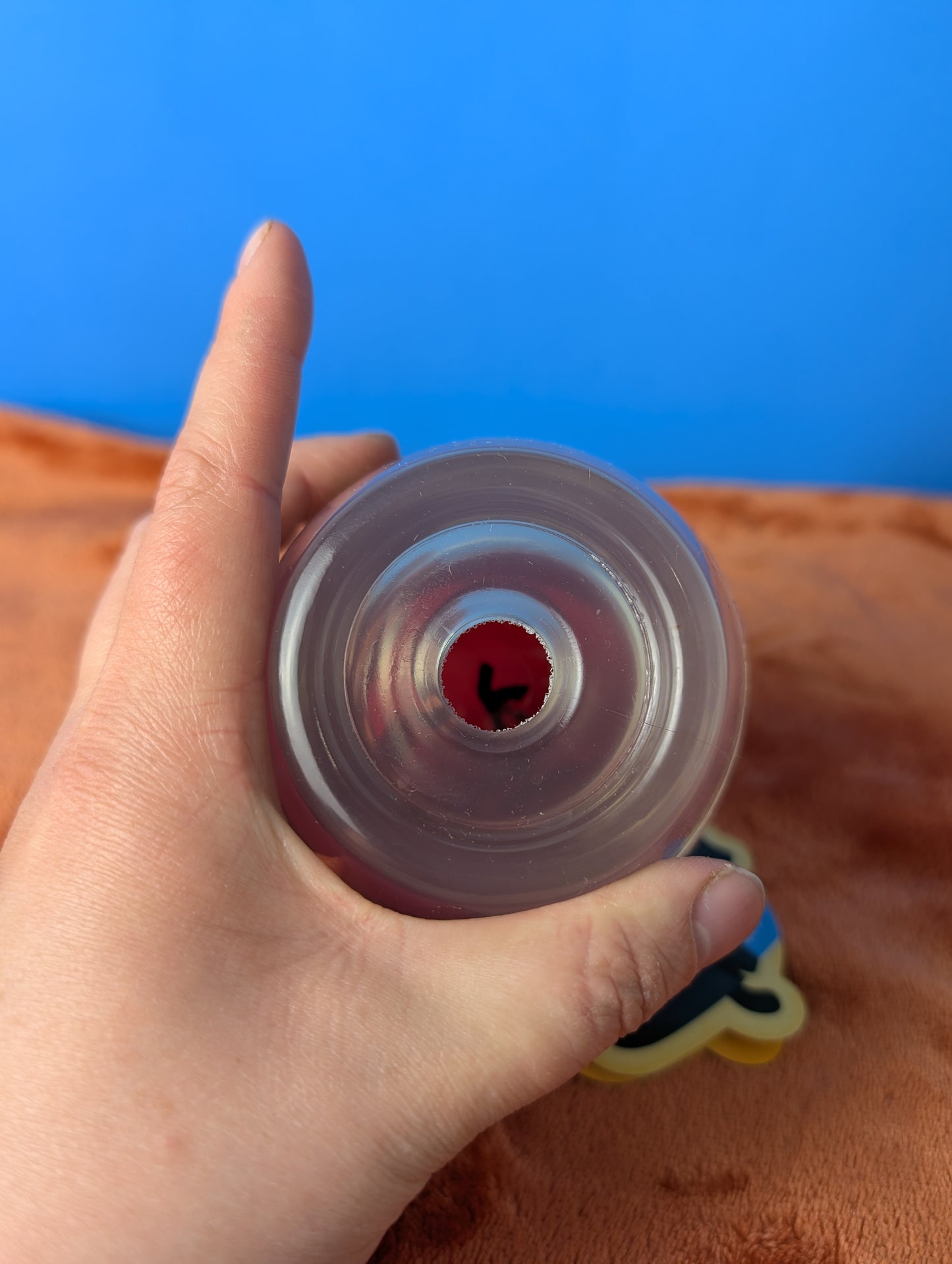 BarkBox Vino Vidi Vici