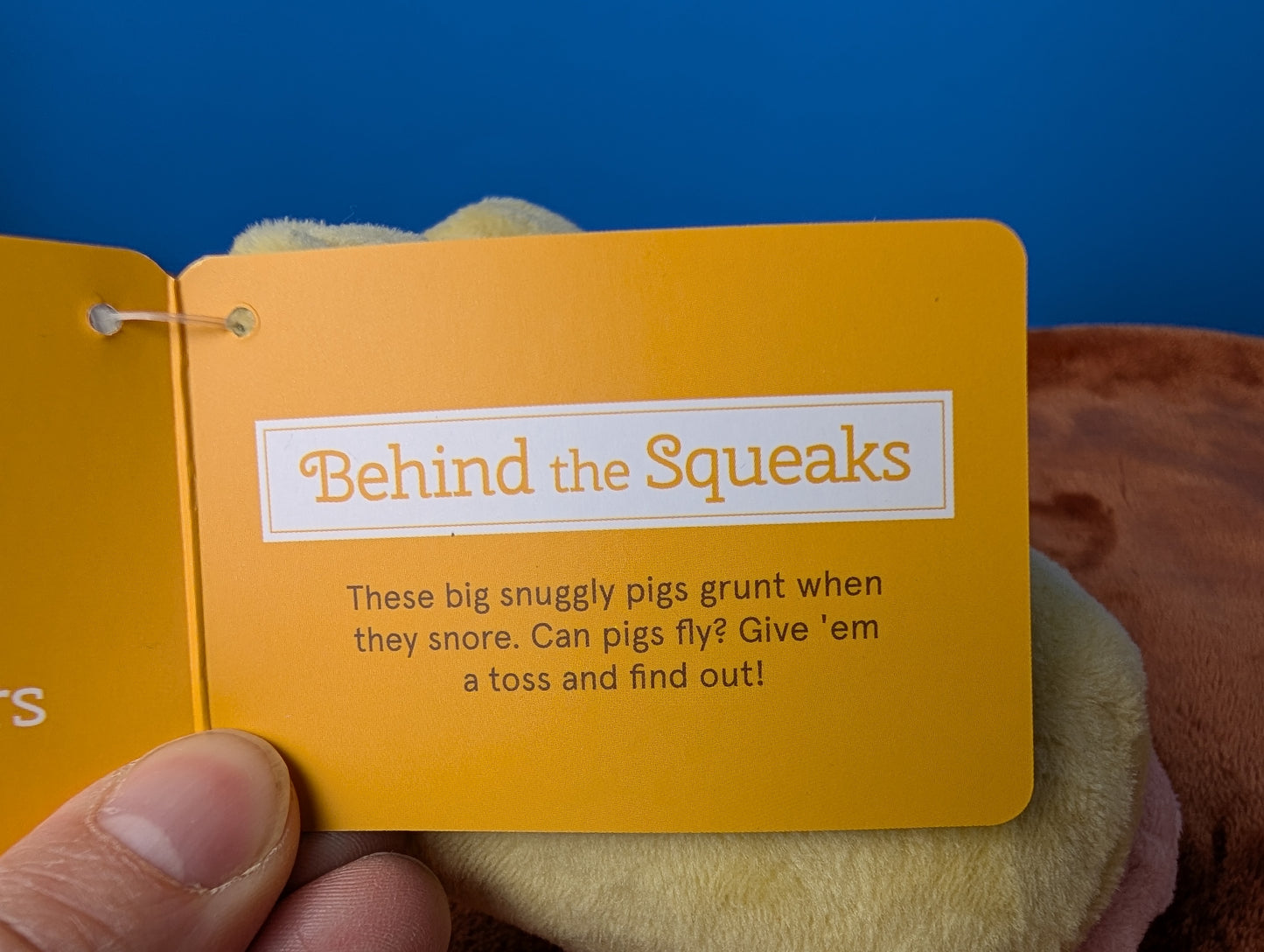 BarkBox Big Honkin' Pigs in a Blanket