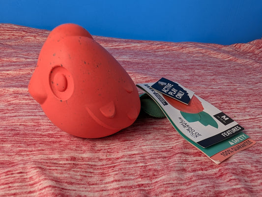 Barkbox Ricardo of The Rock